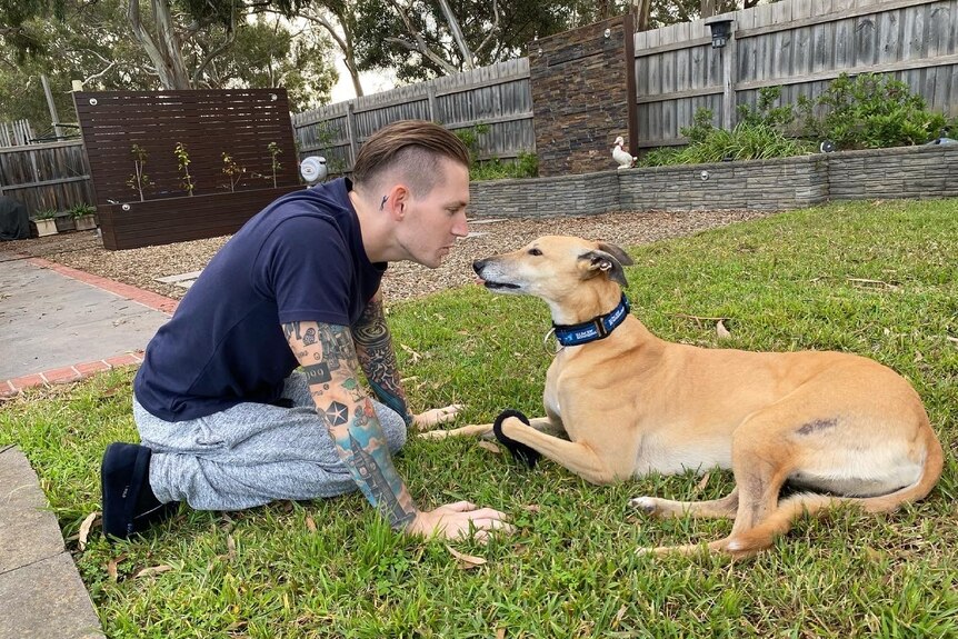 A man in jeans and a shirt kneels on grass facing a greyhound.