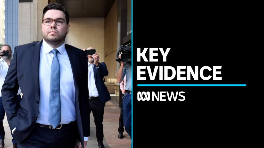Key person to give evidence in Bruce Lehrmann defamation case - ABC News