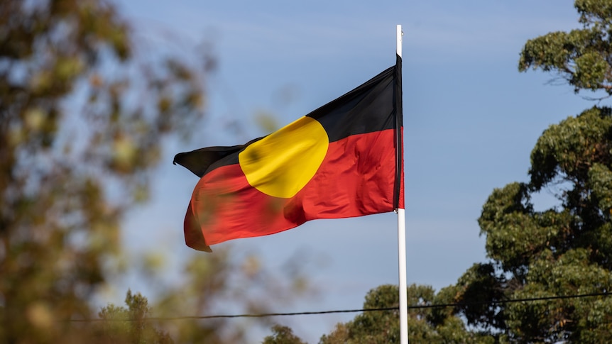 Aboriginal flag flying surrounded by trees