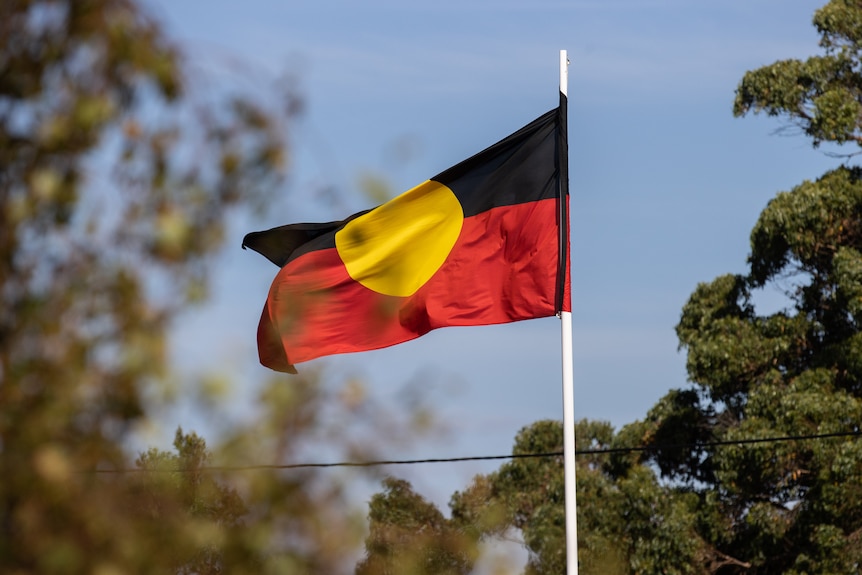 Aboriginal flag flying surrounded by trees