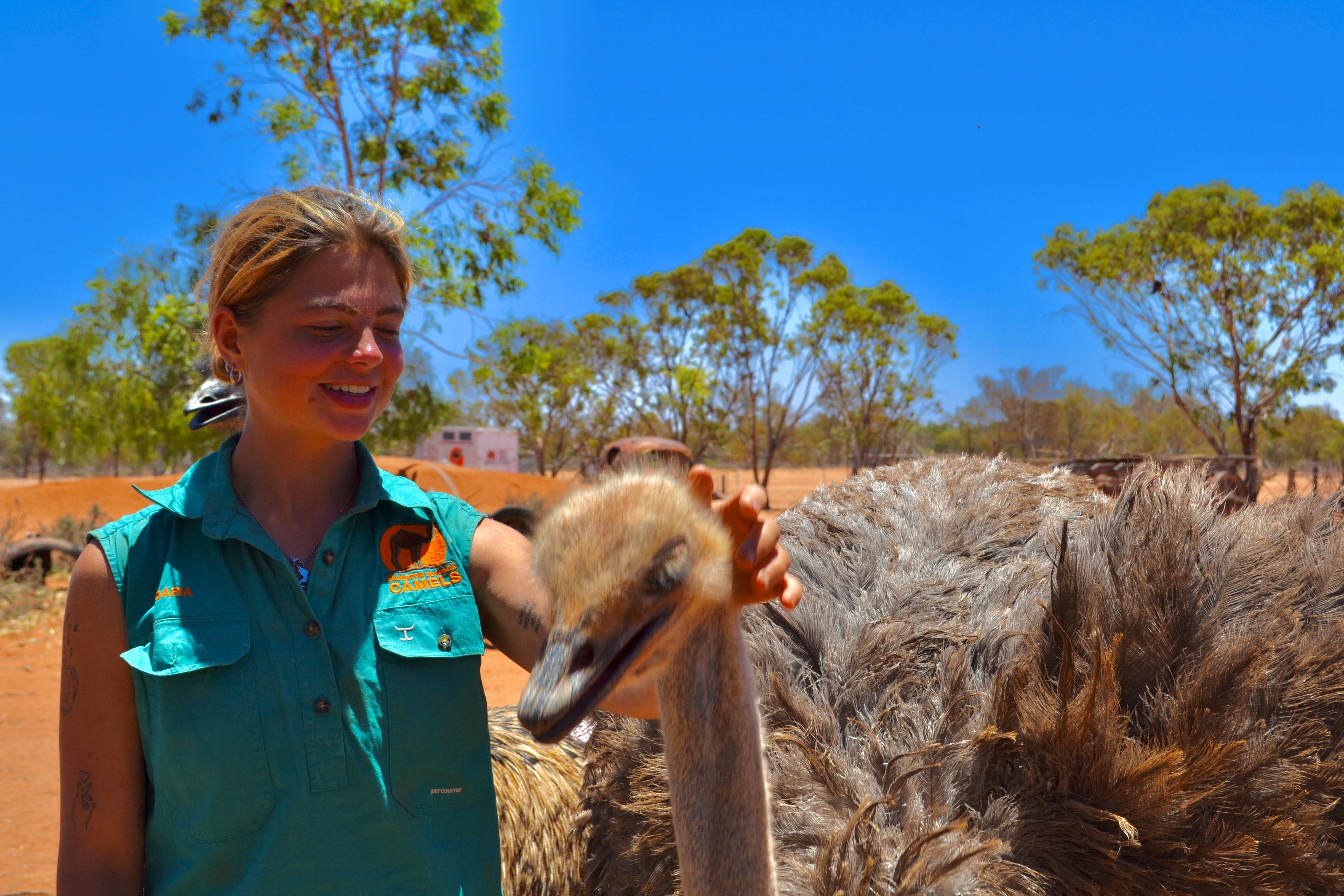 Annemain, cidadã holandesa, do lado de fora em Silverton Outback Camels acariciando um avestruz em um dia quente com um céu azul claro