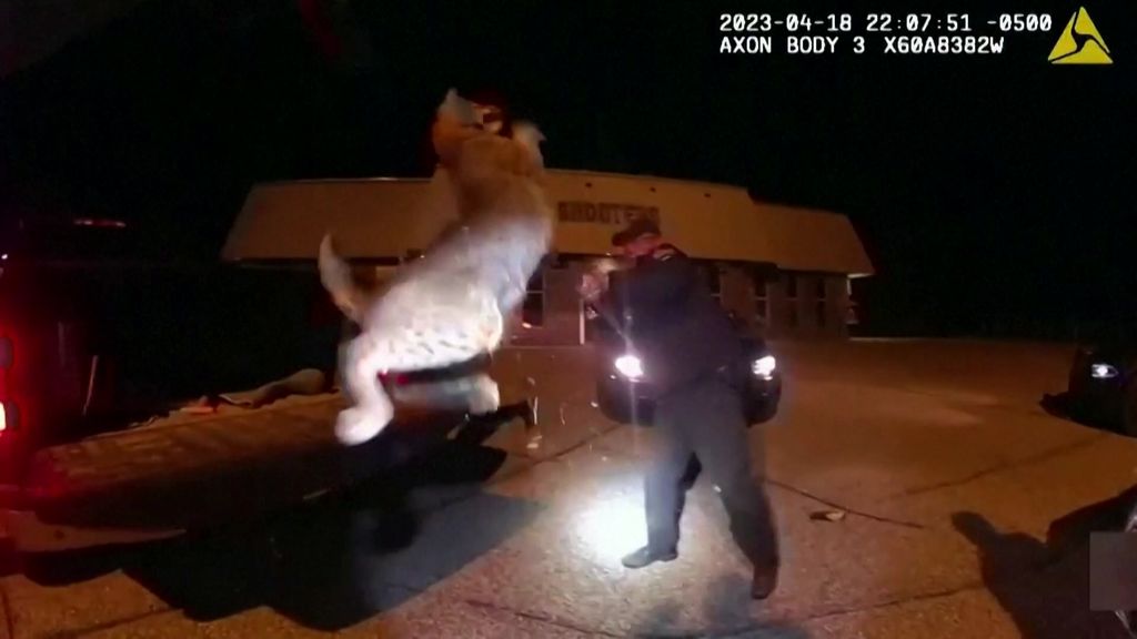The moment police officers pull a huge bobcat trapped inside car grill ...