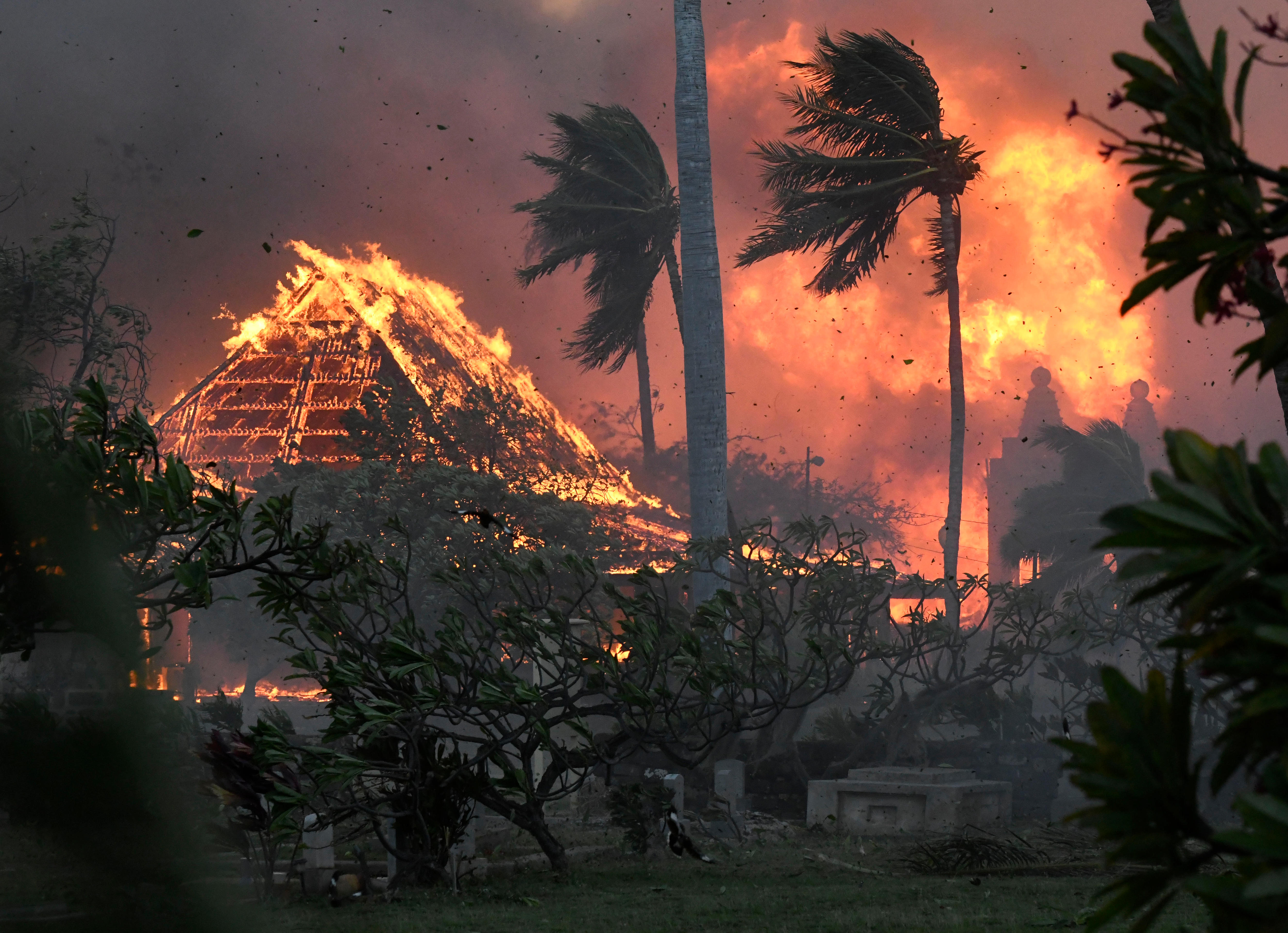 A burning building next to palm trees blowing in strong wind