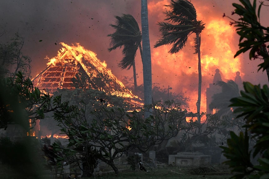 A burning building next to palm trees blowing in strong wind