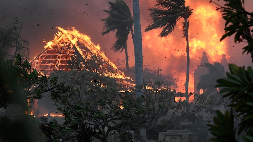 A burning building next to palm trees blowing in strong wind