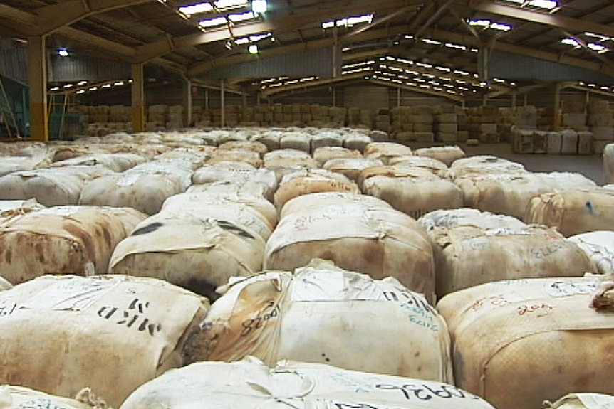 Wide view of wool bales at a wool baling warehouse