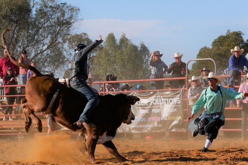 Mullewa Muster bull rude