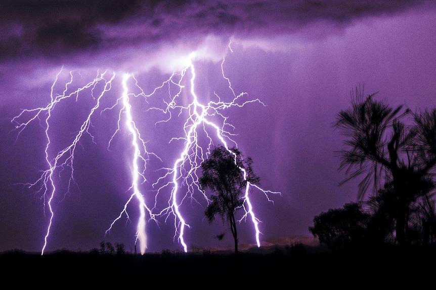 A series of bright lighting bolts are captured hitting the ground at night.