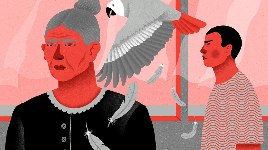 A red and pink illustration depicting an older white woman, a young Chinese man and an African grey parrot.