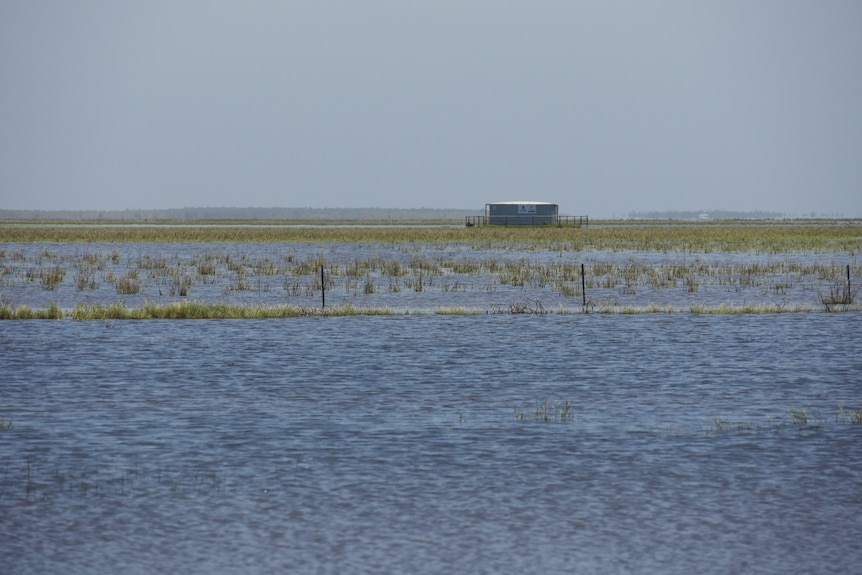 A flooded plain with water stretching for a large distance