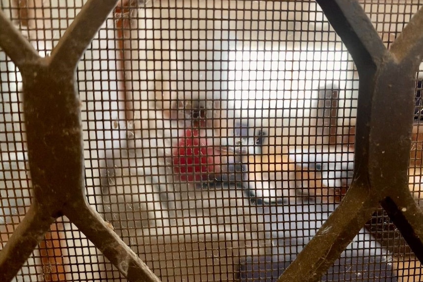 A man sitting his living room obscured by a bird cage.