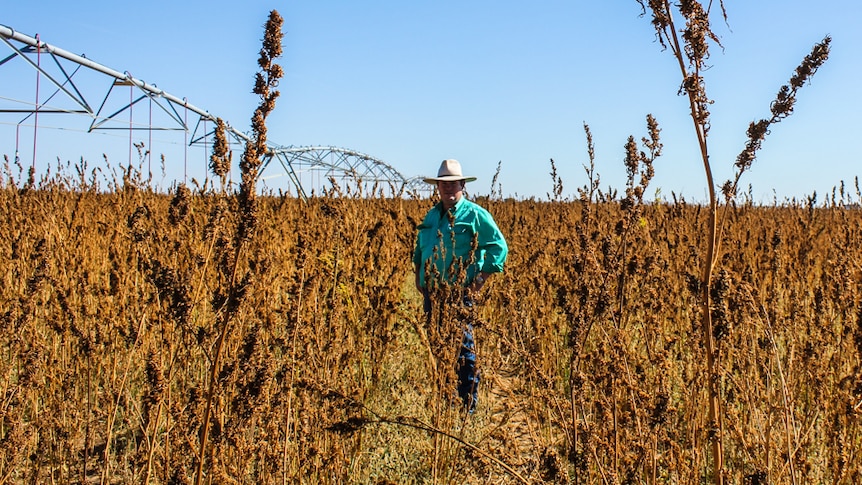 Matt Davis is an agricultural fund investor