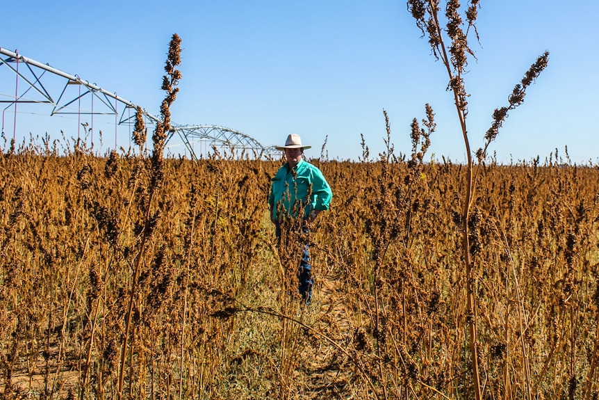 Matt Davis is an agricultural fund investor