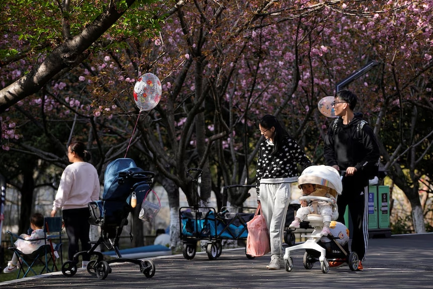A parents pushes a stroller with a baby in a park