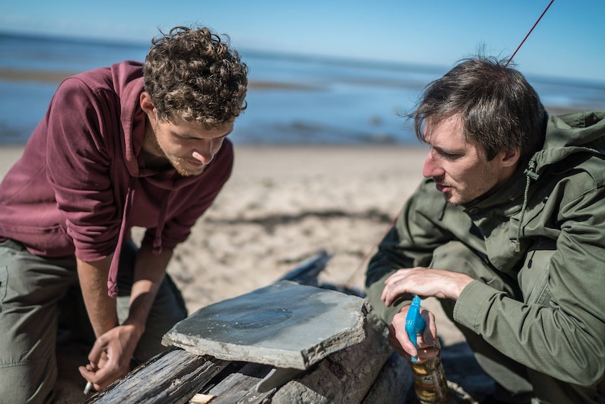 Two men look at a fossil