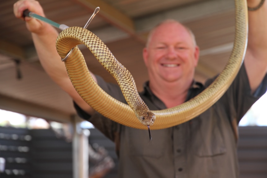A man smiles as he holds a brown and gold snake.