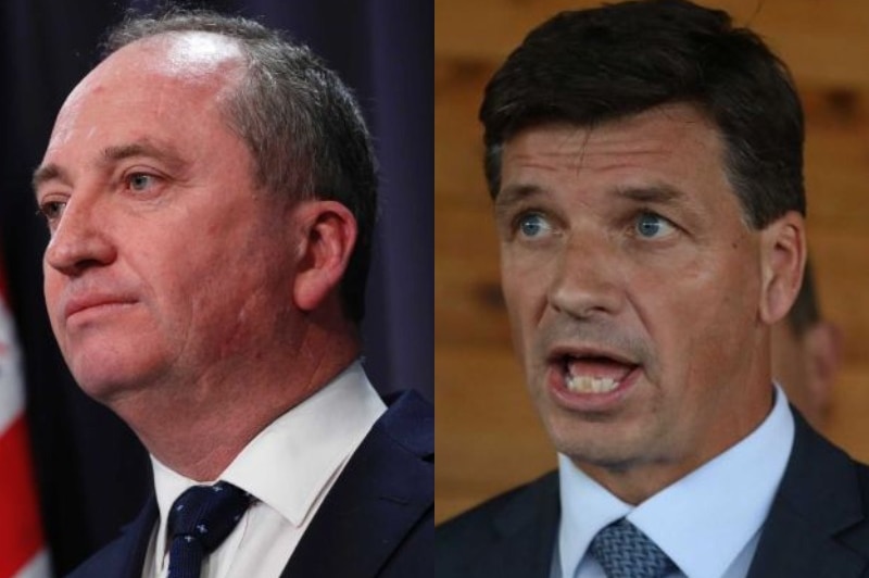 Former Water Minister Barnaby Joyce and current Energy Minister Angus Taylor.