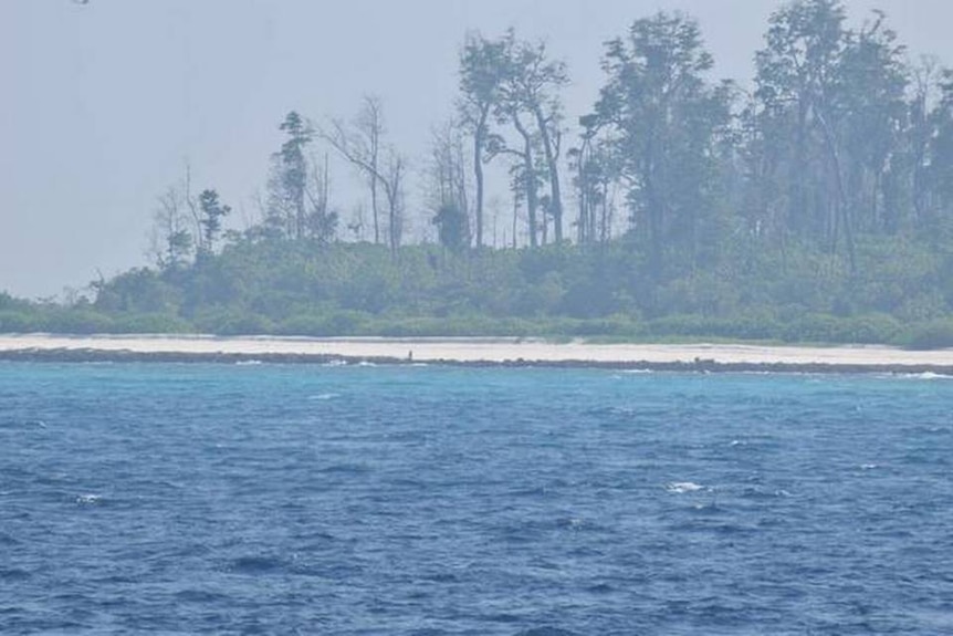Ocean, beach and trees on North Sentinel Island
