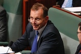 Tony Abbott during Question Time
