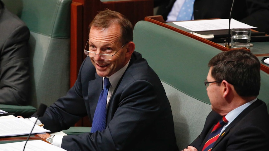 Tony Abbott during Question Time