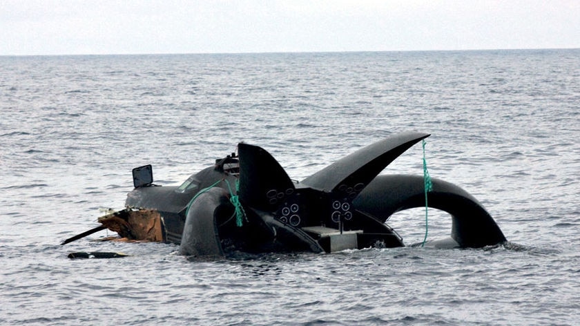 Lost at sea: the Ady Gil sank after it was struck by a Japanese whaling vessel