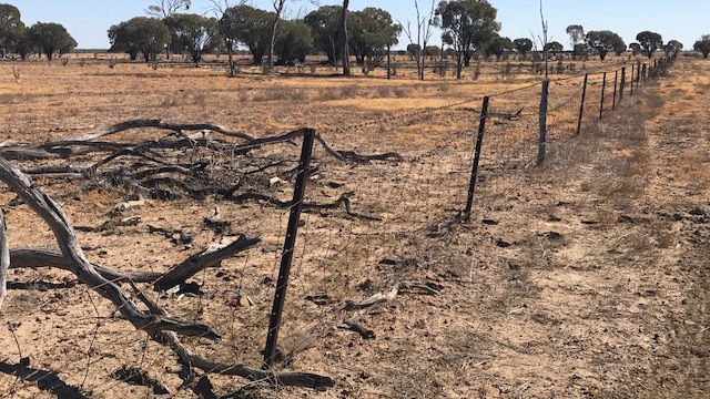 A wire fence running through Central West Queensland.