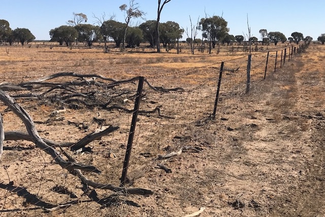 A wire fence running through Central West Queensland.