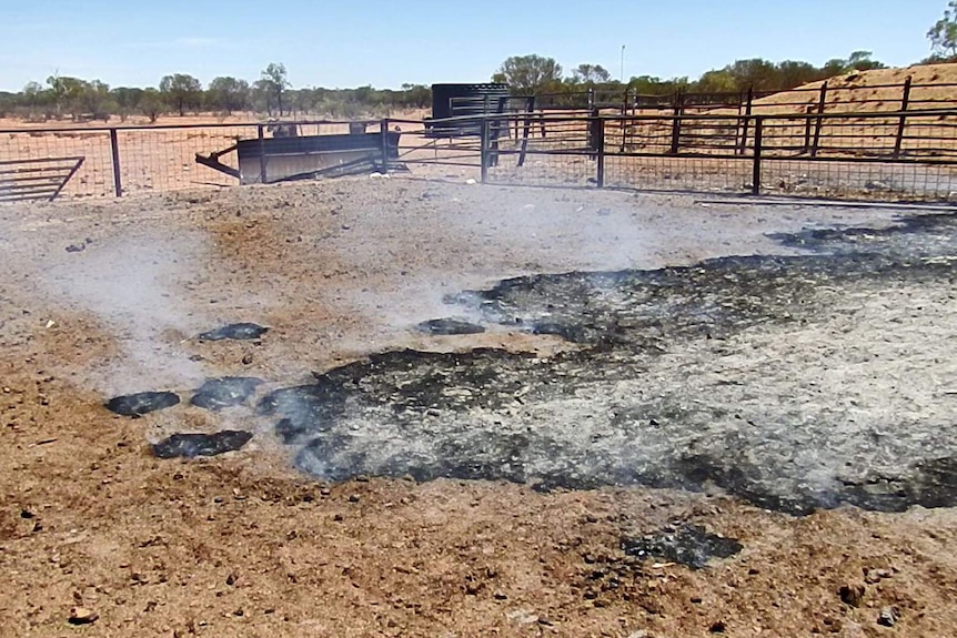 A fire burning in the ground in a cattle yards.