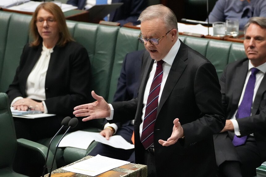 Anthony Albanese in question time