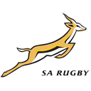 Springboks logo BIG