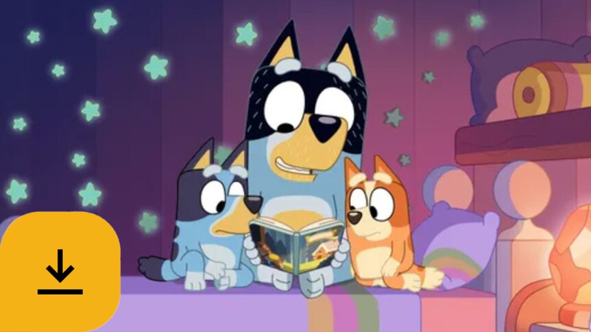 Bandit reads Bluey and Bingo and bedtime story