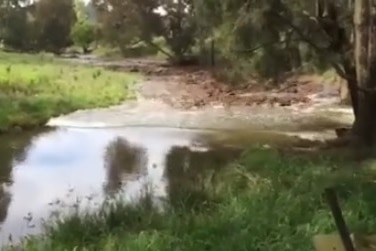 Still from a video showing a flash flood event hitting a Hunter Valley river.