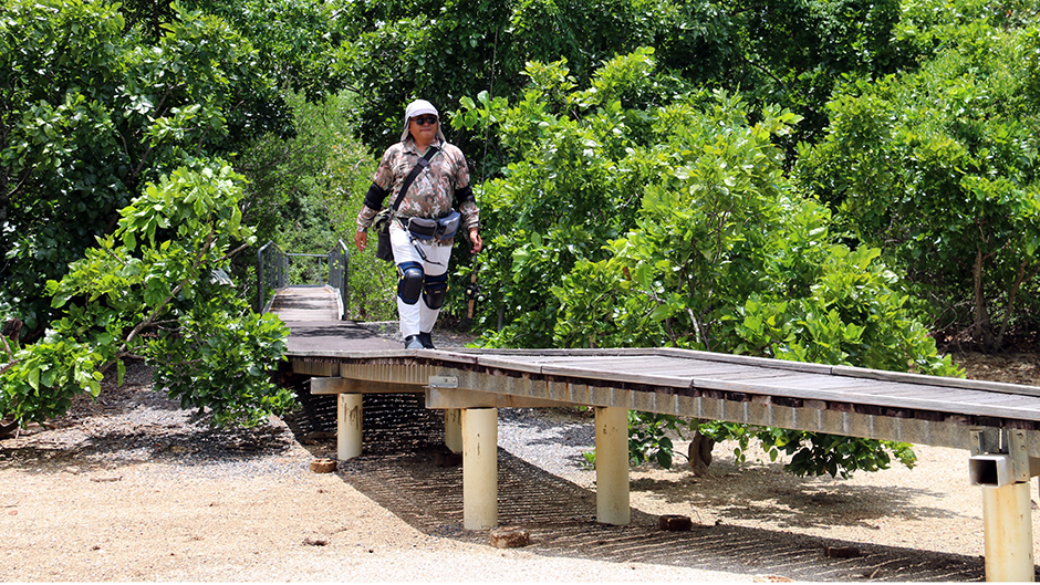 The secret fishing spot involves a walk through mangroves