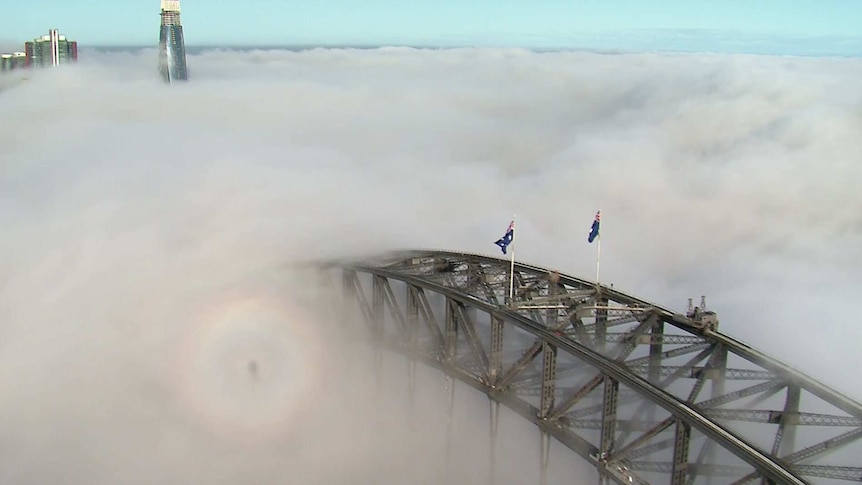 The top of a large building and bridge poke through the top of clouds