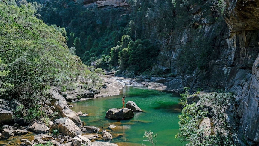 A woman stands on a rock in her bikini in the middle of a waterhole in a lush canyon.