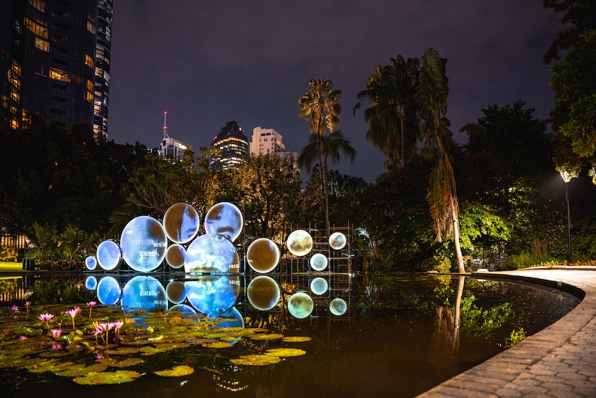 Ripple artwork at night at Brisbane's city botanic gardens.