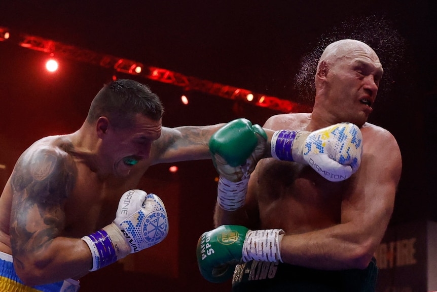 Two heavyweight boxers in action, one landing a left hook while the other reacts in pain.