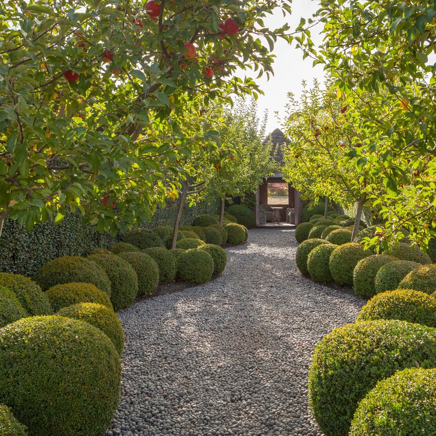 You view a verdant gravel pathway lined with shrubs and evergreen trees with the sun peeking through the canopy.