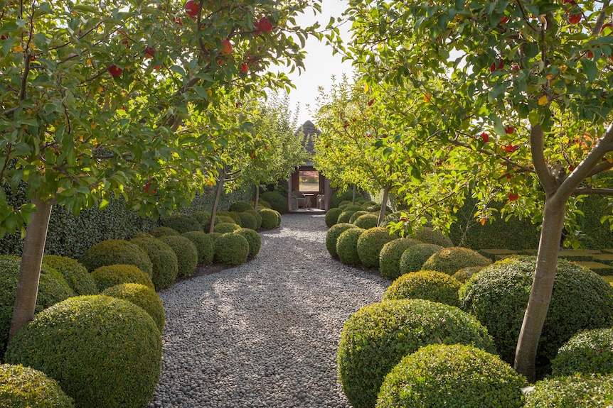 A winding gravel path is lined by trees and bushes clipped in the shape of soft spheres.