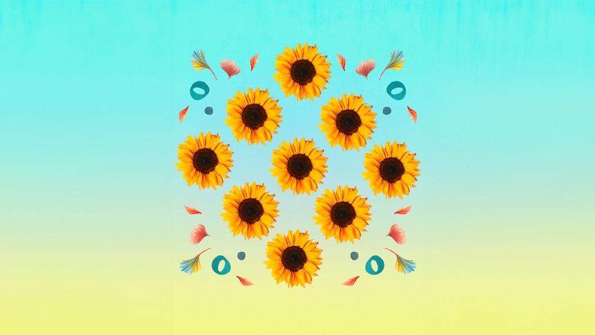 Sunflowers and music notation on a blue and orange background.
