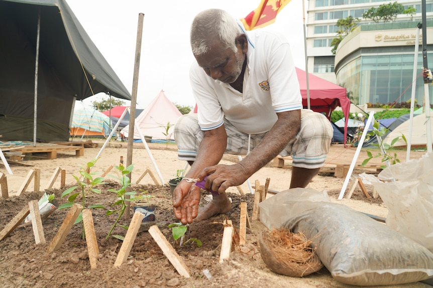 A man squats in a garden as he uses his hands to plant seeds in the soil.