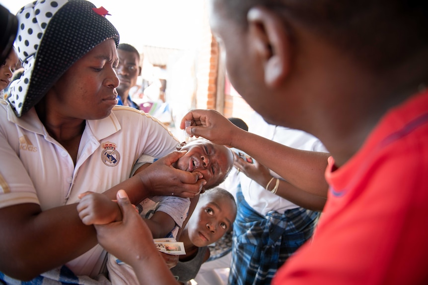 Zimbabwean cholera vaccination