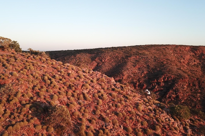 red hills with small runner in the middle