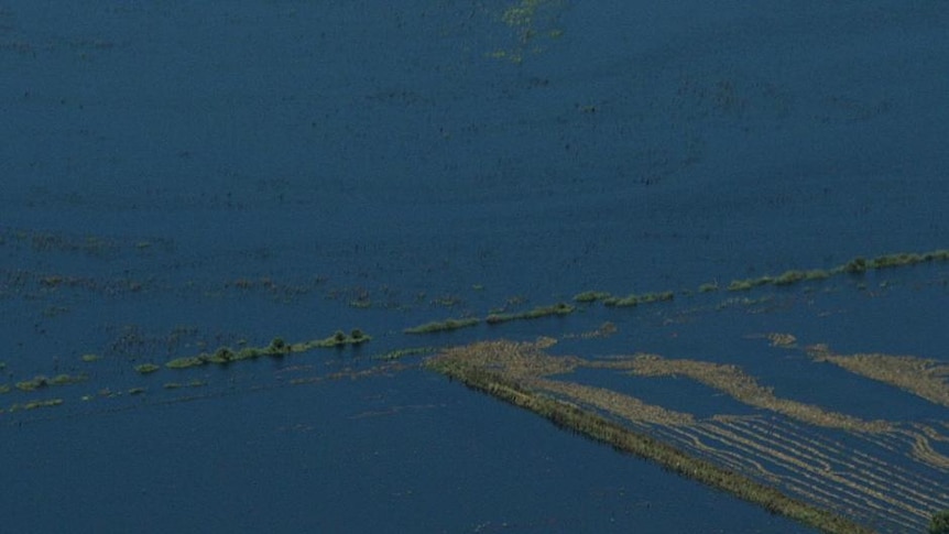 Floodwaters inundate farmland and property at Kerang in January.