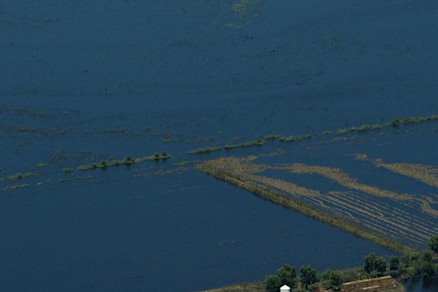 Floodwaters inundate farmland and property at Kerang in January.