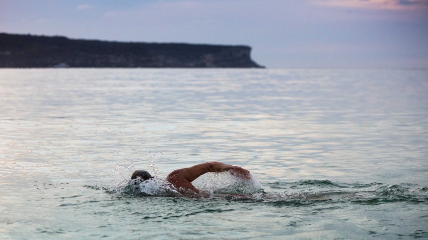 Solo man swims freestyle across the bay.