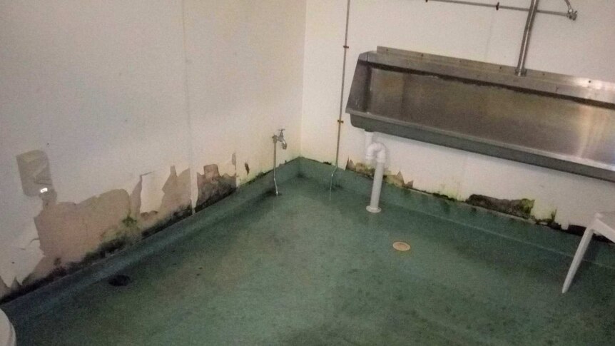 Dirty urinal and wet floor with green mould along the walls