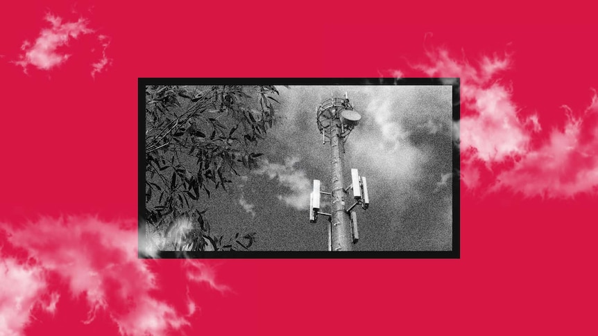 Black and white photo of phone tower with gum leaves in foreground placed on hot pink background.