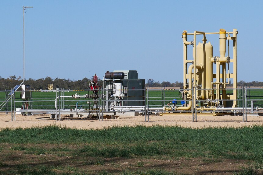 A CSG well in the middle of a wheat paddock near Dalby in August 2019.