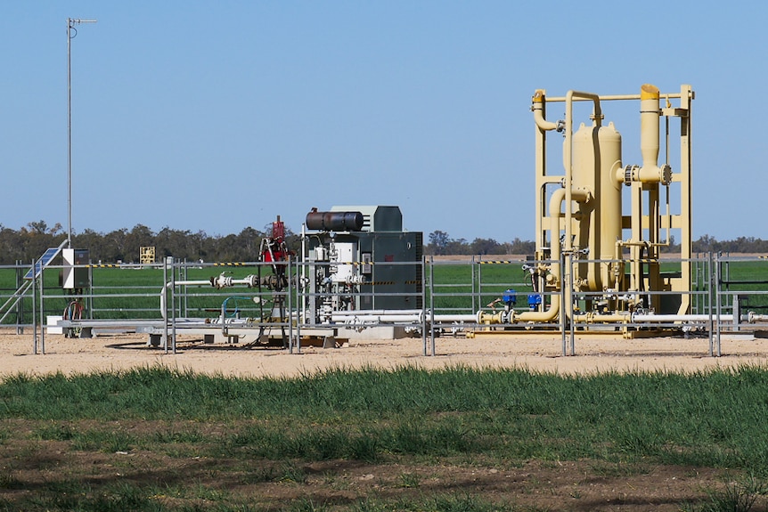 A CSG well in the middle of a wheat paddock near Dalby in August 2019.